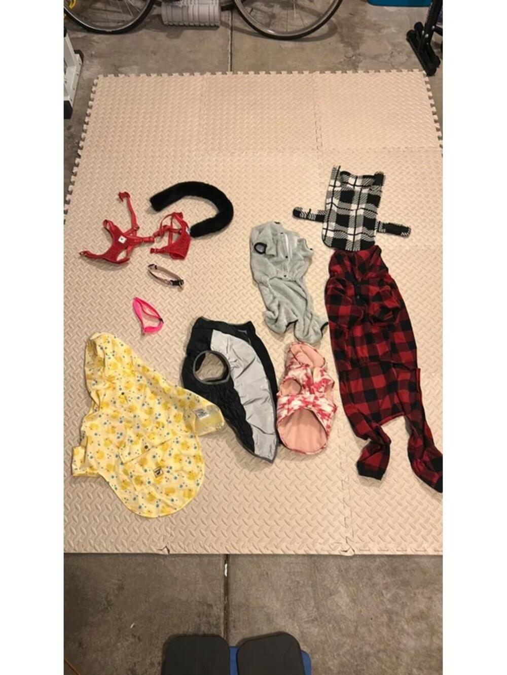 11pc Lot of Dog Clothing, Collars, Harnesses Size Small-Medium Raincoat Plaid